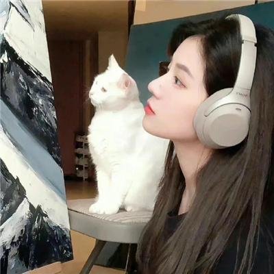绑票总动员